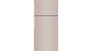 Tủ lạnh Electrolux ETB5400B-G